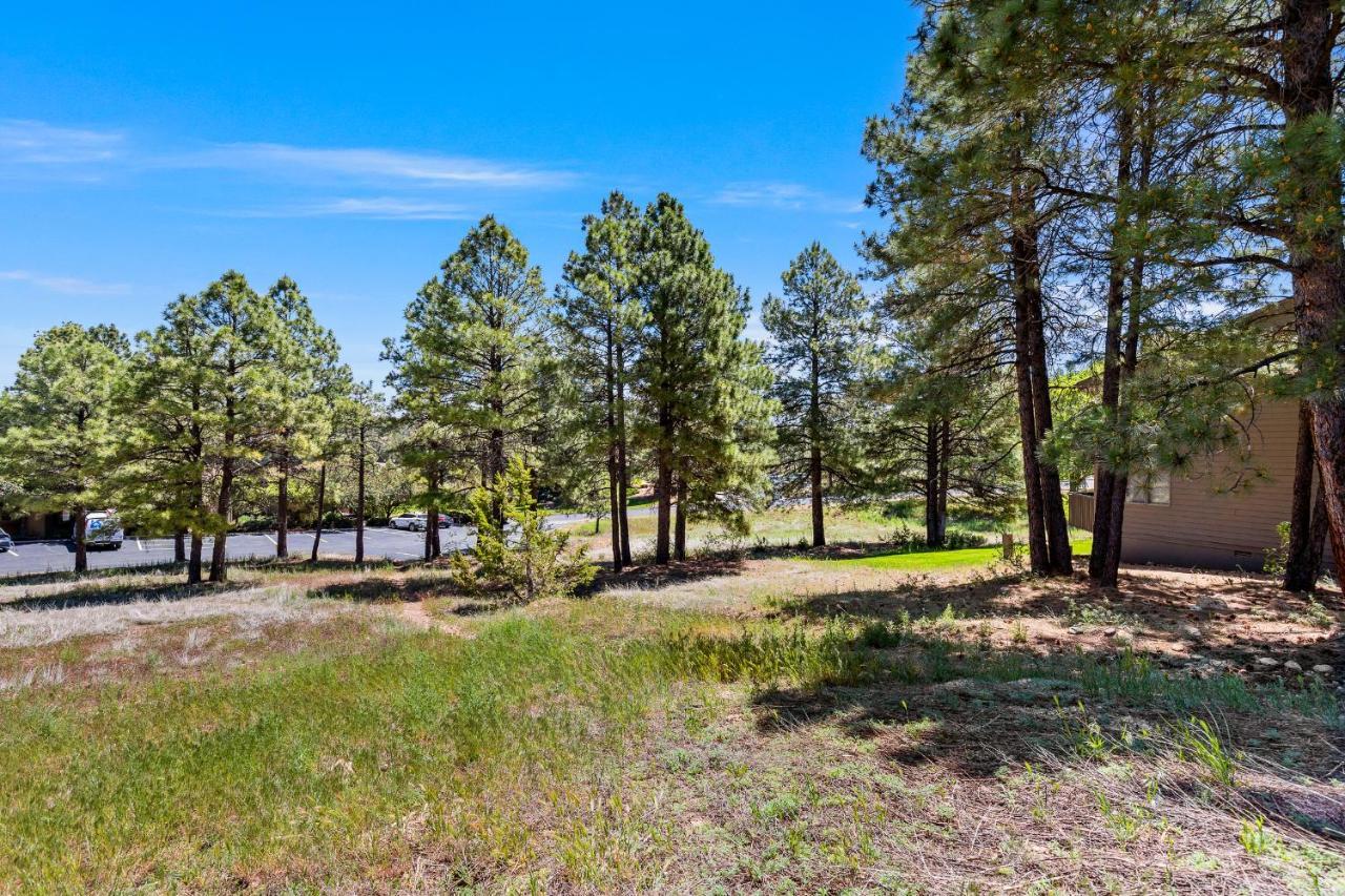 Delightful 1 Bdrm Country Club Retreat With Mt Elden Views! Villa Flagstaff Exterior photo